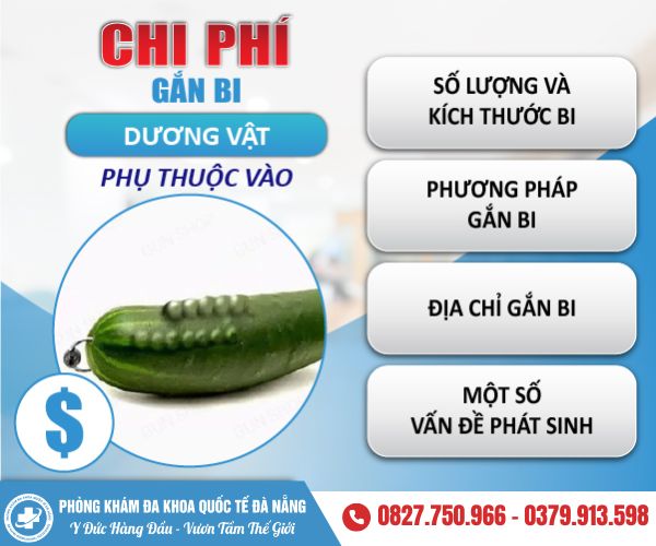 Chi Phí Gắn Bi Dương Vật Ở Đà Nẵng Bao Nhiêu Tiền? Bảng Giá Chi Tiết Năm 2024